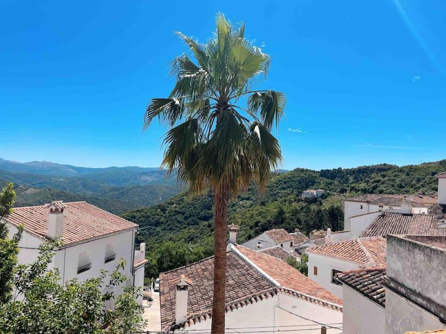 La Palmera. Casa Rural Con Piscina Privada. Benadalid Extérieur photo